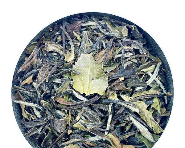 Pai Mu Ta | White Tea